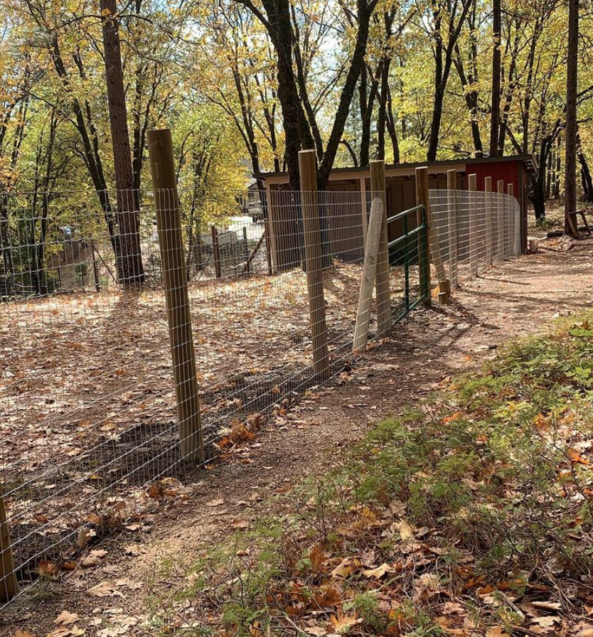 Placerville Fence Contractor